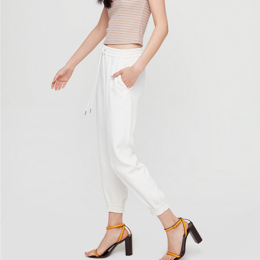 Wilfred Aritzia Trousers
